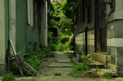 赤紙