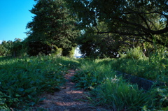 EPSN0468