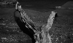 EPSN0173