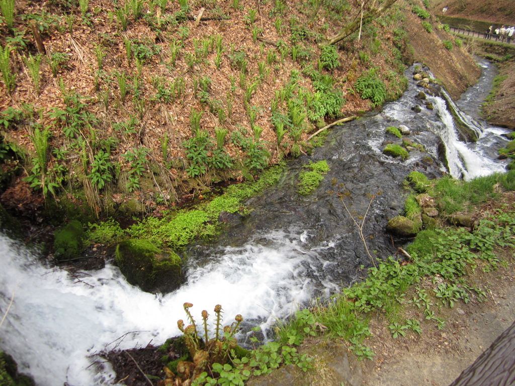 軽井沢