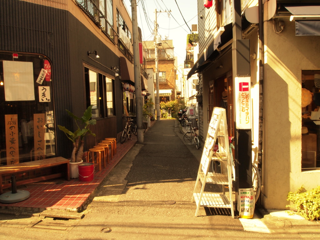 Shimokita004