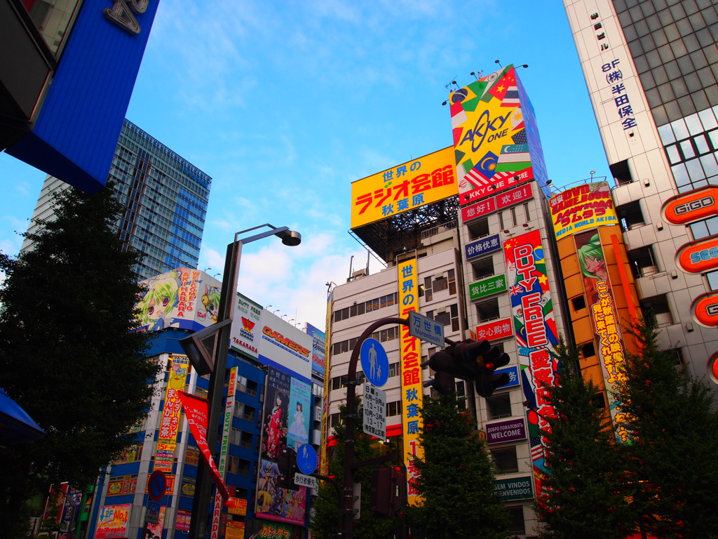 Akiba002