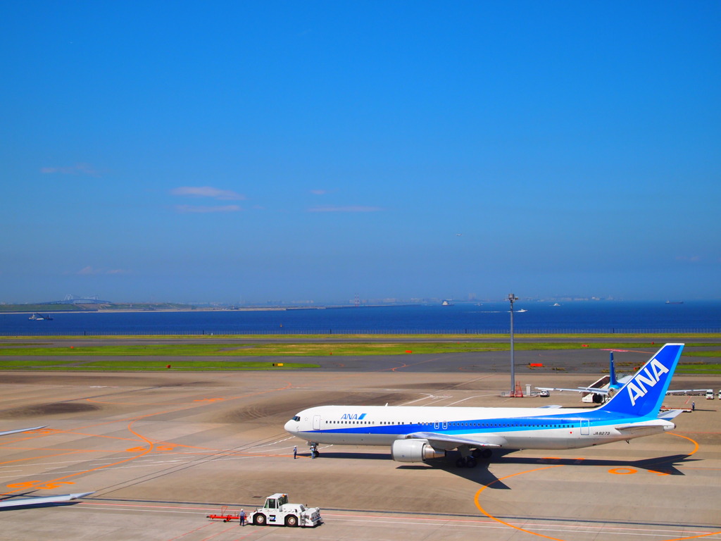 Blue Bird
