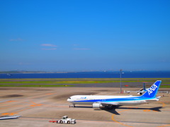 Blue Bird