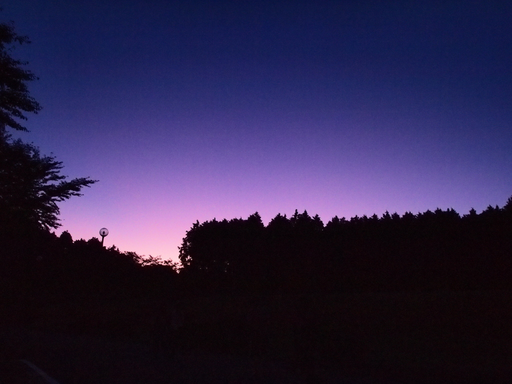 Lilac Color