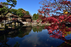 永保寺　紅葉