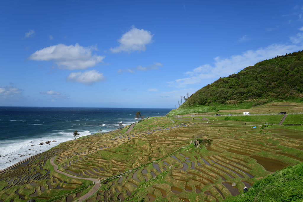 白米千枚田