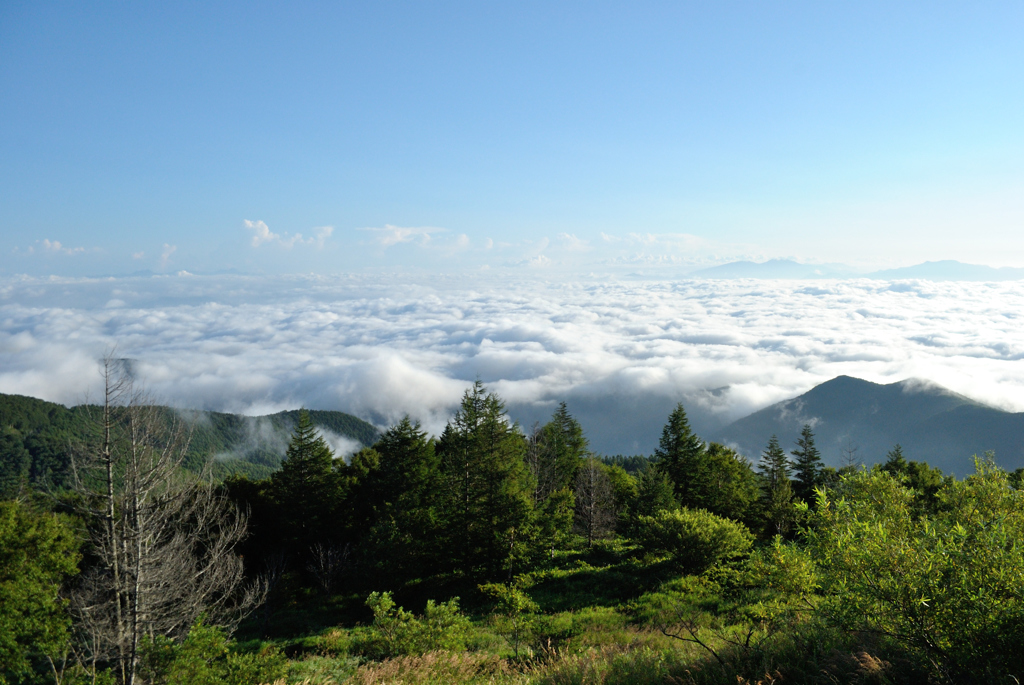 雲海at美ヶ原