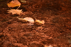 leaf flowing