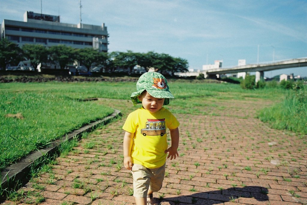 夏の日