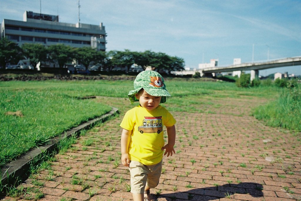 夏の日