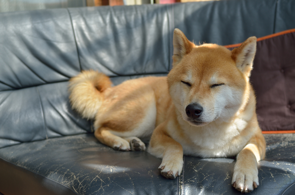 春