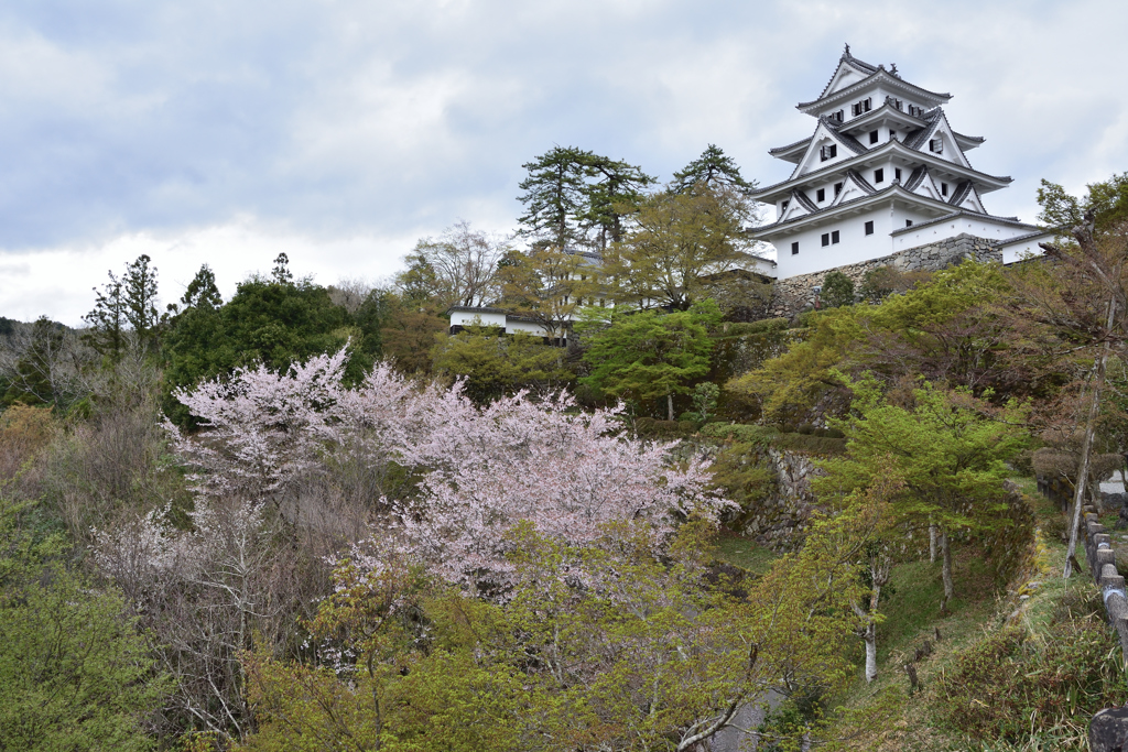 郡上八幡城