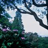 中判デビューin 四季の森