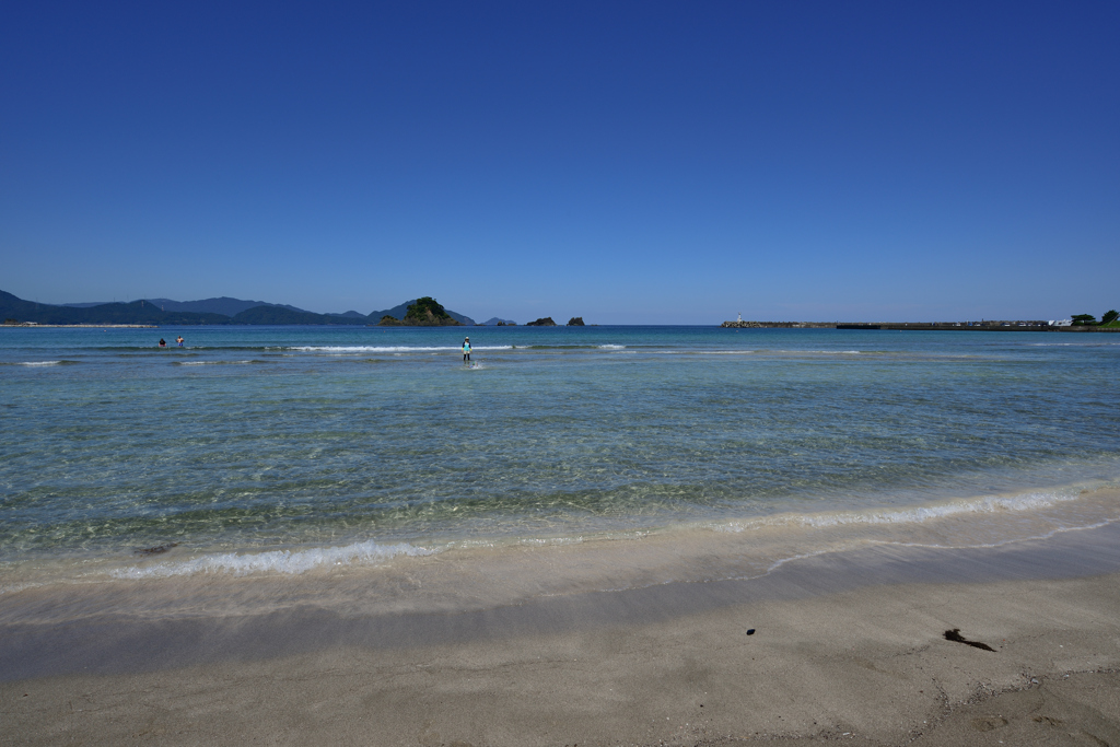 綺麗な海