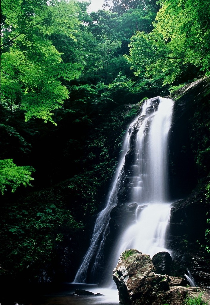宇津江四十八滝