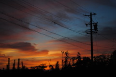 夕焼け