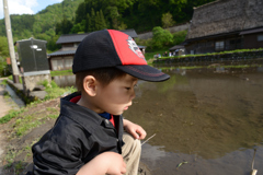 遺産そっちのけ