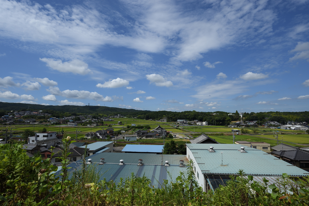 見慣れた風景