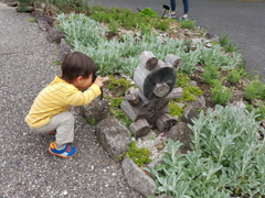 小さなカメラマン