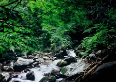 板取　白水の滝への途中