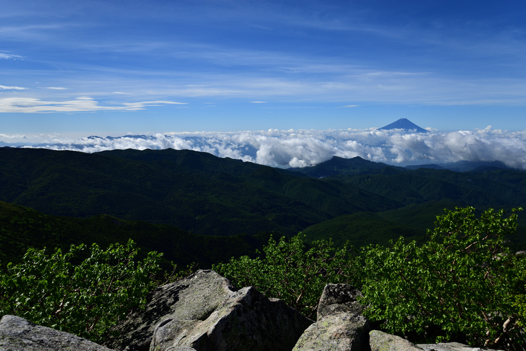 Mt.Fuji