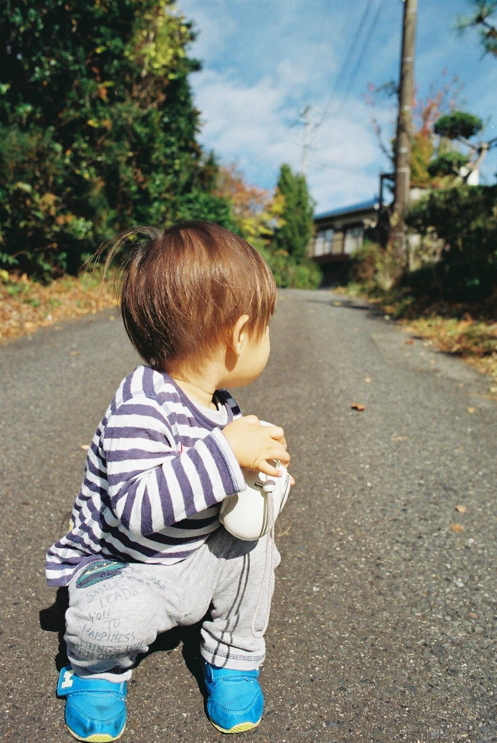 茶色いけど地毛ですよ