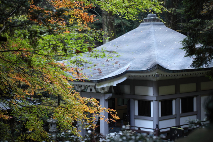 最乗寺 2009