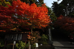 円覚寺
