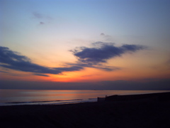 ViviCam Shot