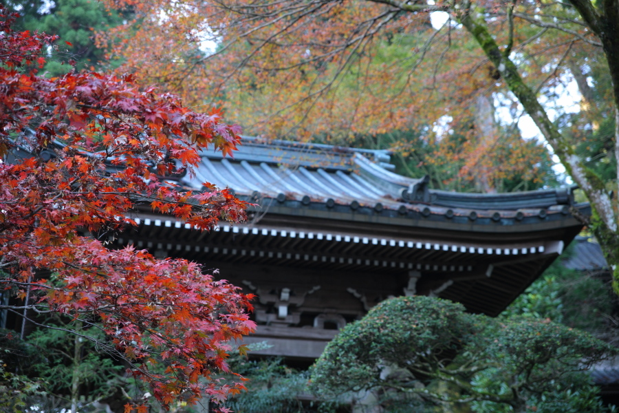 最乗寺 2009