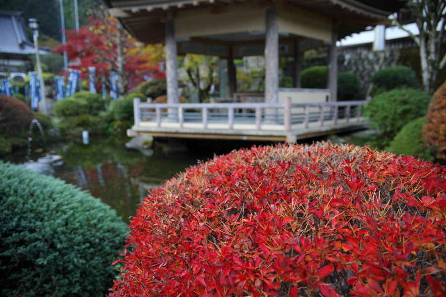 最乗寺 2009