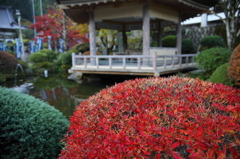最乗寺 2009
