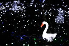 Enoshima Fantasy 2009