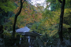 最乗寺 2009