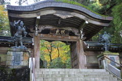 最乗寺 2009