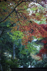最乗寺 2009