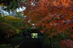 円覚寺