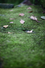 最乗寺 2009