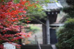 円覚寺