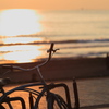 Beach Bike