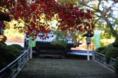最乗寺 2009
