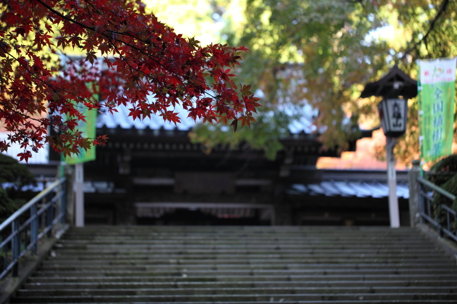 最乗寺 2009