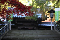 最乗寺 2009