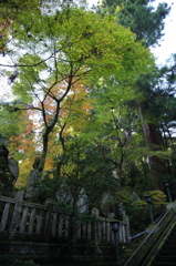 最乗寺 2009