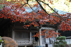最乗寺 2009