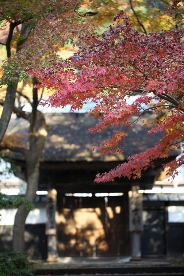 円覚寺