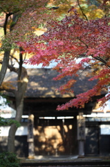円覚寺