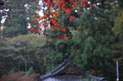 最乗寺 2009