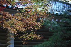 最乗寺 2009